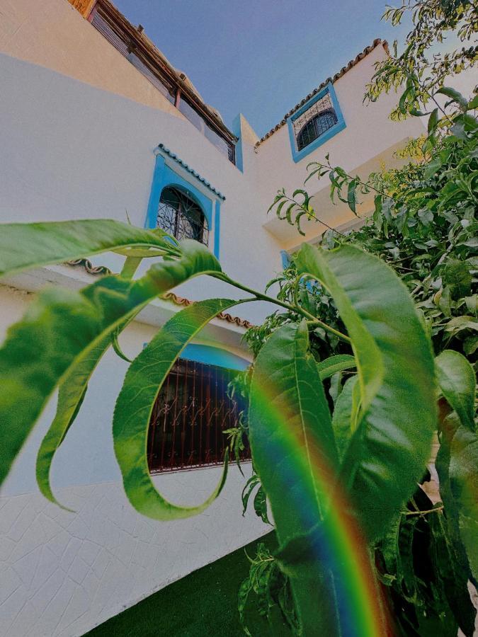Auberge Dalia 셰프샤우엔 외부 사진