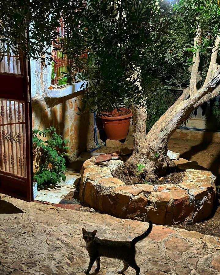 Auberge Dalia 셰프샤우엔 외부 사진